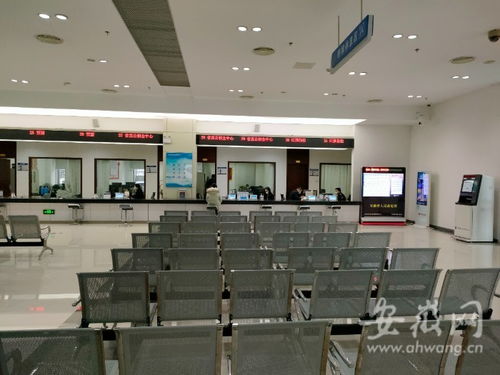 虎年開工首日探訪 安徽省政務(wù)服務(wù)中心窗口人員堅(jiān)守崗位，熱情服務(wù)暖人心